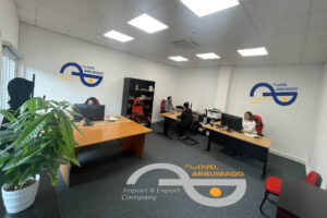 Novelarrumado Office