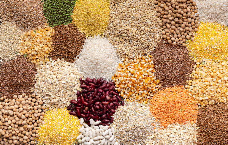 services ingredients