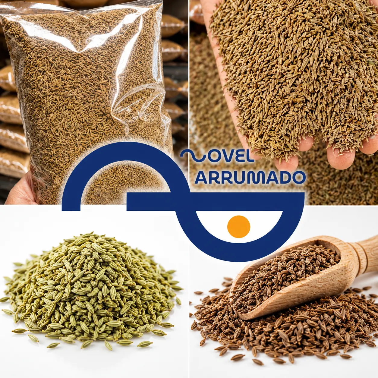 Zire CUMIN SEEDS SEMENTES DE COMINHO