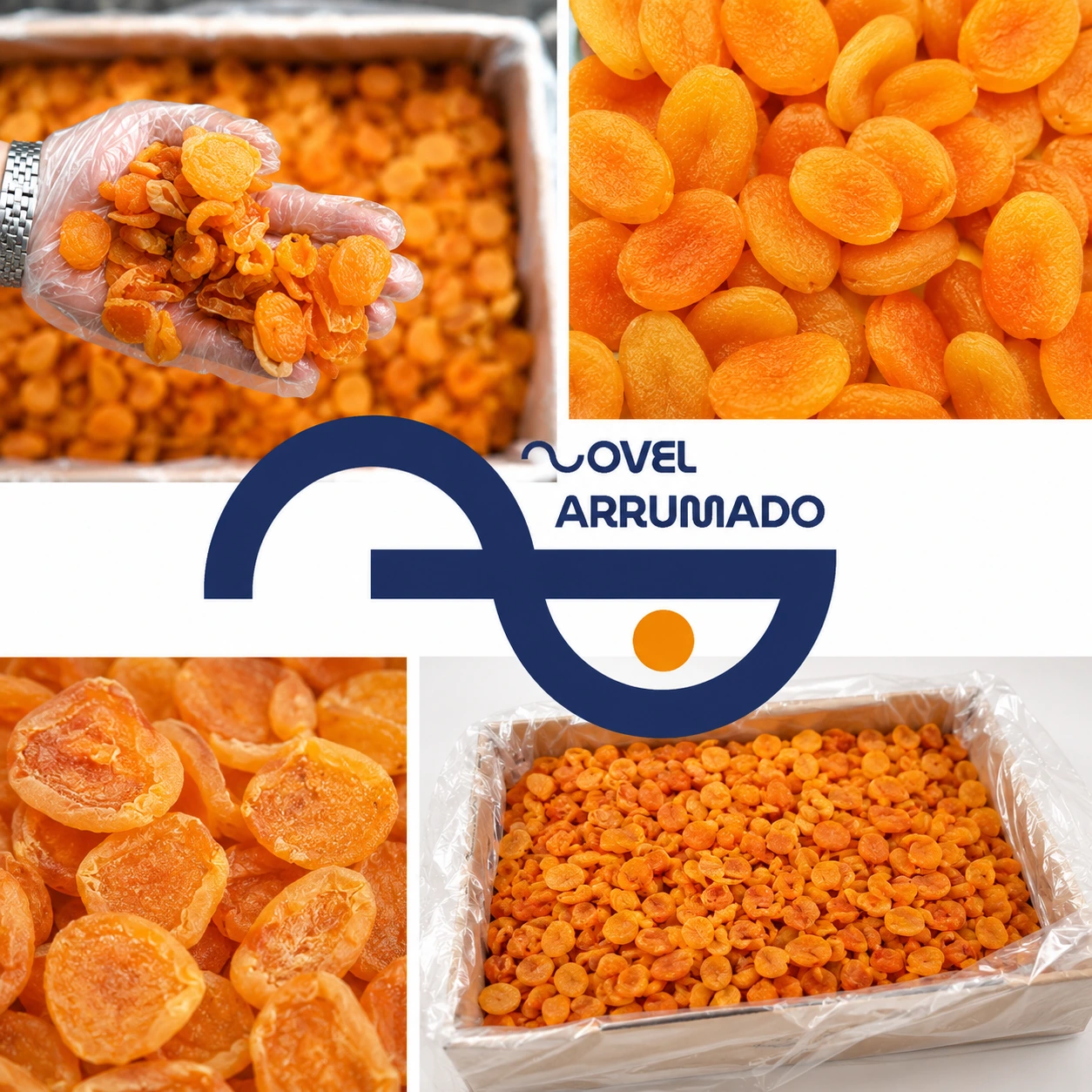 barge zardaloo DRIED APRICOT SLICES DRIED APRICOT SLICES