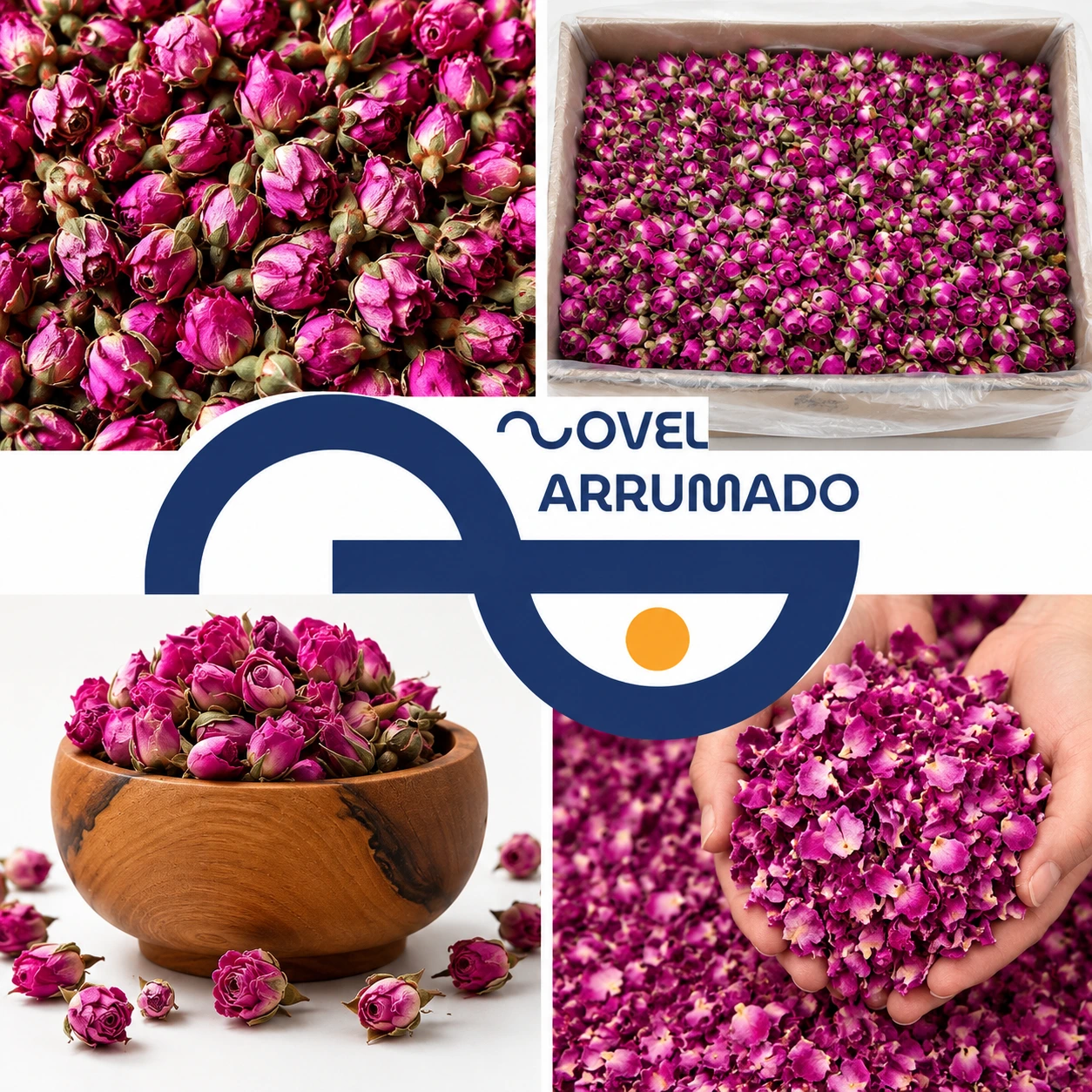 gol mohammadi DRIED ROSE PETALS PÉTALAS DE ROSA SECAS